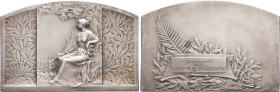ALGÉRIE - ALGERIA
IIIe République (1870-1940). Plaque, offert par l’Écho d’Alger, par René Baudichon ND, Paris (Chobillon).
Esc.- ; Bronze argenté -...