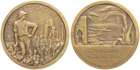 ALGÉRIE - ALGERIA
IIIe République (1870-1940). Médaille, assemblée générale des actionnaires de la Compagnie algérienne, par A. Pommier ND, Paris (Jan...