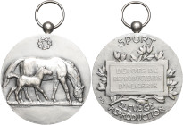 ALGÉRIE - ALGERIA
IIIe République (1870-1940). Médaille, poulinière, dépôts de reproducteurs d’Algérie, par H. Bouchard ND (modèle de 1937), Paris.
Es...