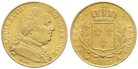 FRANCE - FRANCE
Louis XVIII (1814-1824). 20 francs buste habillé 1815, A, Paris.
G.1026 - F.517 - Fr.525 ; Or - 6,44 g - 21 mm - 6 h
Presque Superbe.