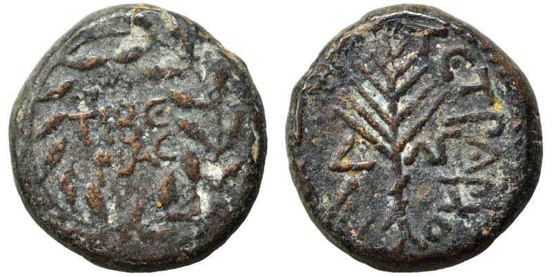 JUDAEA, Herodians. Herod III Antipas, 4 BC-39 AD. Half unit (bronze, 6.37 g, 19 ...