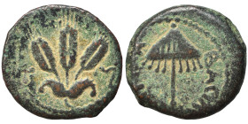 JUDAEA. Herodians. Agrippa I, 37-43. Prutah (bronze, 2.60 g, 17 mm), Jerusalem. Umbrella-like canopy with fringes. Rev. Three grain ears; L ς (date) f...