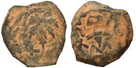 JUDAEA. First Jewish War, 66-70 AD. Prutah (bronze, 3.16 g, 18 mm), 67-68 / year 2. Amphora. Rev. Vine leaf on branch with tendril. Hendin 6389. Fine.
