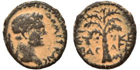 JUDAEA. Herodians. Agrippa II, with Domitian, circa 50-100. Ae (bronze, 2.43 g, 15 mm), Caesarea Maritima. Laureate head of Domitian right. Rev. Palm ...