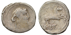Q. Titius, 90 BC. Denarius (silver, 3.84 g, 19 mm), Rome. Head of Liber or young Bacchus right, wearing ivy wreath. Rev. Pegasus springing right upon ...