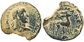 SYRIA, Coele-Syria. Damascus. Volusian, 251-253. Ae (bronze, 6.71 g, 24 mm). IMP GALLO VOLOSSIANO AVG Laureate head right. Rev. COL ΔAMA METR Doe stan...
