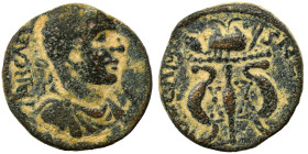 SYRIA, Coele-Syria. Damascus. Gallienus, 253-268. Ae (bronze, 9.03 g, 20 mm). Laureate, draped and cuirassed bust right. Rev. [COL] ΔAMAS M[ETRO] Agon...