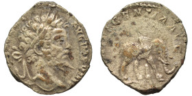 Septimius Severus, 193-211. Denarius (silver, 2.74 g, 17 mm), contemporary imitation? Laureate head right. Rev. P M TR P XV COS III P P Elephant walki...