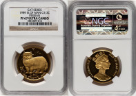 British Dependency. Elizabeth II gold Proof "Persian" 1/2 Crown (1/2 oz) 1989-PM PR67 Ultra Cameo NGC, Pobjoy Mint mint, KM255. Cat series. HID0980124...