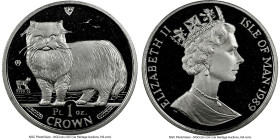 British Dependency. Elizabeth II platinum "Persian" Crown 1989-PM MS68 NGC, Pobjoy Mint mint, KM250c. Cat Series. HID09801242017 © 2025 Heritage Aucti...