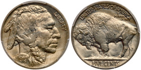 1919 Buffalo Nickel. PCGS MS64