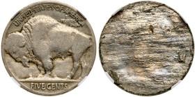 1919 Buffalo Nickel