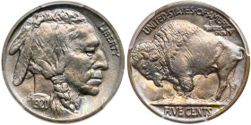 1920 Buffalo Nickel. PCGS MS65