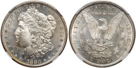 1880 Morgan Dollar. NGC MS66
