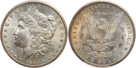 1884-CC Morgan Dollar. PCGS MS63