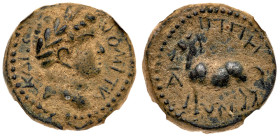 Hippos (Susita). Domitian. Æ 18 mm (5.64 g), AD 81-96