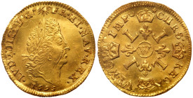 France. ½ Louis d'or, 1695-W (Lille). NGC AU