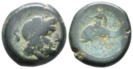 Northern Lucania, Paestum, 264-241 BC. Æ (18mm, 6.96g). Laureate head of Neptune r.; dolphin behind. R/ Eros, holding wreath and trident, riding dolph...