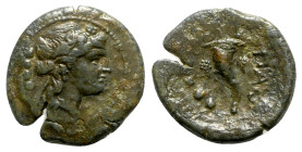 Northern Lucania, Paestum, after 211 BC. Æ Triens (21mm, 5.40g, 6h). Wreathed head of Dionysos r.; four pellets behind. R/ Cornucopiae; four pellets t...
