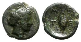 Southern Lucania, Metapontion, c. 320-300 BC. Æ (14mm, 2.35g, 3h). Wreathed head of Demeter r. R/ M-E/T-E, Barley-grain. Cf. HNItaly 1665. Dark green ...