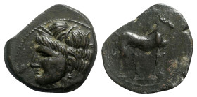 Carthaginian Domain, Sardinia, c. 264-241 BC. Æ Shekel (22mm, 5.43g, 3h). Wreathed head of Tanit l. R/ Horse standing r. Cf. SNG Copenhagen (Africa) 2...