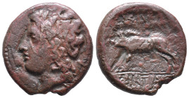 Sicily, Akragas. Phintias (287-279 BC). Æ (20mm, 5.54g). c. 282-279 BC. Wreathed head of Artemis l. R/ Boar standing l. CNS I, 117; SNG ANS 1122; HGC ...