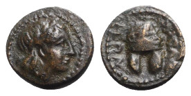 Macedon, Orthagoreia, c. 350 BC. Æ (11mm, 1.51g, 3h). Laureate head of Apollo r. R/ Macedonian helmet surmounted by a star. SNG ANS 566-70. Brown pati...