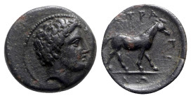 Thessaly, Atrax, mid 4th century BC. Æ Dichalkon (17mm, 3.23g, 3h). Bare male head r. R/ Horse standing r. Rogers 165; BCD Thessaly II 58.7; HGC 4, 35...