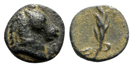 Asia Minor, Uncertain (Pontos?), c. 1st century BC - 1st century AD. Æ (10mm, 1.90g, 12h). Horse head r. R/ Palm branch. Unpublished in the standard r...