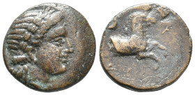 Mysia, Atarneos, c. 350-300 BC. Æ (18mm, 8.18g). Laureate head of Apollo r. R/ Forepart of horse r.; above, serpent coiled r.; monogram to r. BMC 2. G...