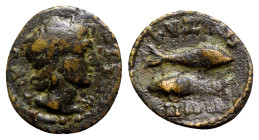 Mysia, Cyzicus. Pseudo-autonomous issue, c. 3rd century. Æ (18mm, 3.11g, 7h). Diademed head of Kyzikos r. R/ Two tunny fishes swimming in opposite dir...