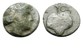 Achaemenid Empire, Uncertain, c. 4th century BC. Æ (9mm, 1.10g, 6h). Diademed youthful head of Apollo r. R/ Leaf; satrapal monogram to upper r. Cf. Go...