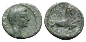 Augustus (27 BC-AD 14). Mysia, Parium. Æ Quadrans (14mm, 2.56g, 12h). Bare head r. R/ Capricorn r. RPC I 2264; SNG BnF 1438. Green patina, VF
