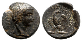 Tiberius (14-37). Phrygia, Apameia. Æ (19mm, 5.07g, 12h). C. Julius Callicles, magistrate, c. 14-9. Bare head r. R/ Eagle standing l. on thunderbolt, ...