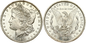 USA Morgan Dollar 1879