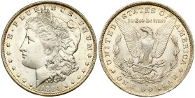 USA Morgan Dollar 1884 O