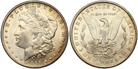 USA Morgan Dollar 1899 O