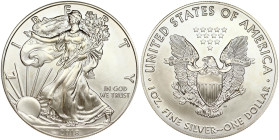 USA Dollar 2018 American Silver Eagle