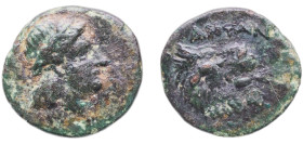 Greece (ancient) Antandros Troad 375 BC - 325 BC AE (Apollo & Lion head) Bronze 1.48g VF CN type 21492