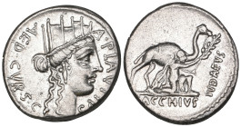 Roman Republic, A. Plautius, denarius, c. 47 BC, turreted head of Cybele right, rev., BACCHIVS IVDAEVS, Bacchius kneeling beside camel, 3.80g (Cr. 431...