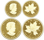 g Canada, Elizabeth II, Maple Leaf Series, proof 10 dollars and 5 dollars, 2014, both with Royal portrait by Susanna Blunt, rev., maple leaf, total wt...