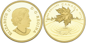 g Canada, Elizabeth II, ‘Maple Leaf Reflection’, proof 200 dollars, 2015, rev., a falling maple leaf reflected in rippled water as it touches the surf...