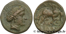 THESSALY - LARISSA
Type : Dichalque 
Date : c. 350 AC. 
Mint name / Town : Larissa, Thessalie 
Metal : copper 
Diameter : 15  mm
Orientation dies : 12...