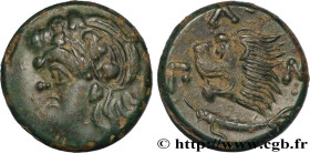 TAURIC CHERSONESE - PANTICAPEUM
Type : Unité 
Date : c. 310 - 304/303AC. 
Mint name / Town : Panticapée, Chersonèse Taurique 
Metal : copper 
Diameter...