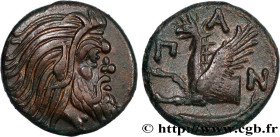 TAURIC CHERSONESE - PANTICAPEUM
Type : Unité 
Date : c. 310 -304/303 AC. 
Mint name / Town : Panticapée, Chersonèse Taurique 
Metal : copper 
Diameter...