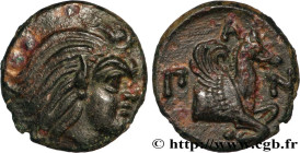 TAURIC CHERSONESE - PANTICAPEUM
Type : demi-unité 
Date : c. 310 -304/303 AC. 
Mint name / Town : Panticapée, Chersonèse Taurique 
Metal : copper 
Dia...