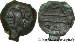TAURIC CHERSONESE - PANTICAPEUM
Type : Demi-unité 
Date : c. 300-200 AC 
Mint name / Town : Panticapée 
Metal : copper 
Diameter : 19  mm
Orientation ...