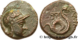 MYSIA - PERGAMENE KINGDOM - ANONYMOUS
Type : Demi-unité 
Date : c. 281-133 AC. 
Mint name / Town : Pergame, Mysie 
Metal : copper 
Diameter : 15  mm
O...