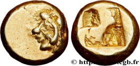 IONIA - ERYTHRAI
Type : Hecté 
Date : c. 550-500 AC. 
Mint name / Town : Erythrées, Ionie 
Metal : electrum 
Diameter : 9,5  mm
Weight : 2,56  g.
Rari...