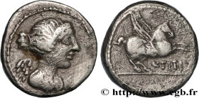TITIA
Type : Quinaire 
Date : 90 AC. 
Mint name / Town : Rome 
Metal : silver 
Millesimal fineness : 950  ‰
Diameter : 14  mm
Orientation dies : 5  h....